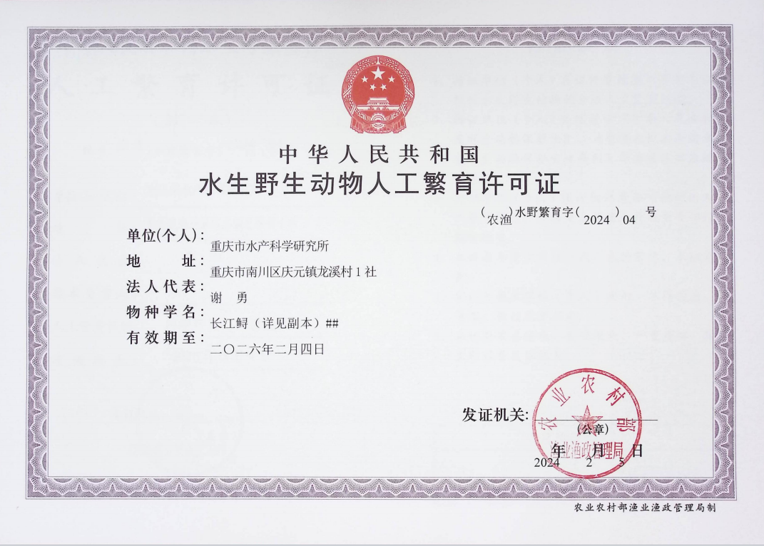 1708570407496371.png 1708570407496371.png